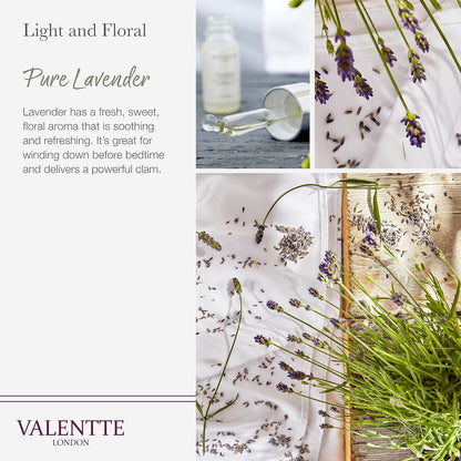 Reed Diffuser for Home- Pure Lavender Scented- 100 Ml