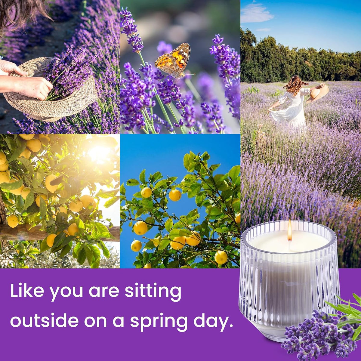 Fresh Lavender Lemon Eucalyptus Scented Candles Gifts for Women Mom, Natural Soy Wax Scented Candles for Home, Aromatherapy Jar Candle for Calming and Relaxing, New Home Present